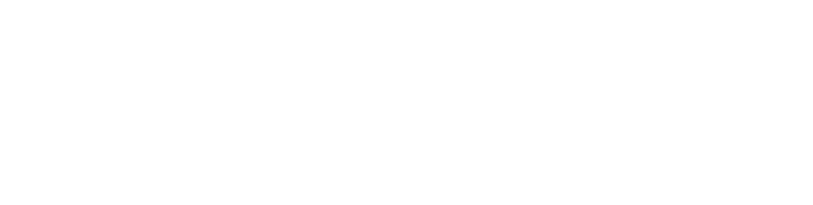 Logo-Schriftzug